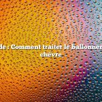 Réponse rapide : Comment traiter le ballonnement chez une chèvre